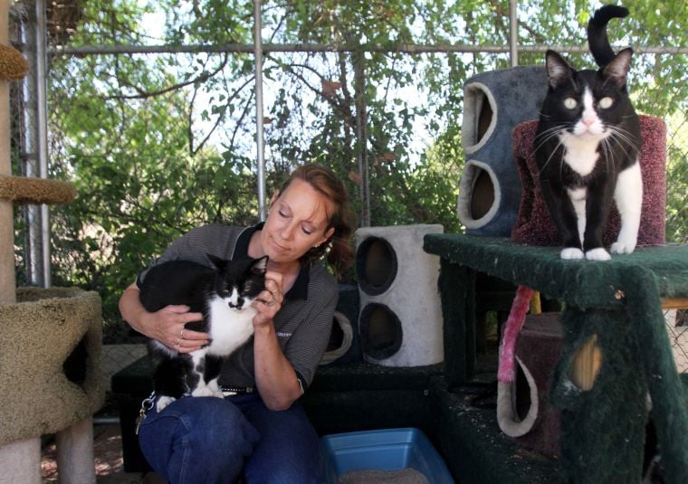 Copperas Cove Animal Control
